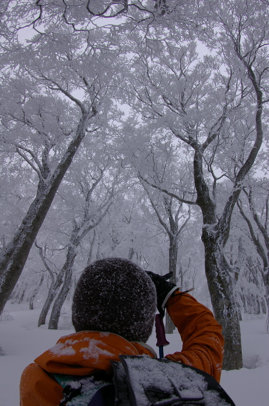 ２月５日　大山（鳥取）その１（６合目まで！）_a0009554_2065633.jpg