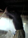 d0007957_2223729.jpg