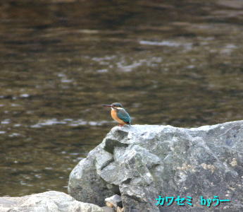 e0018678_2331098.jpg