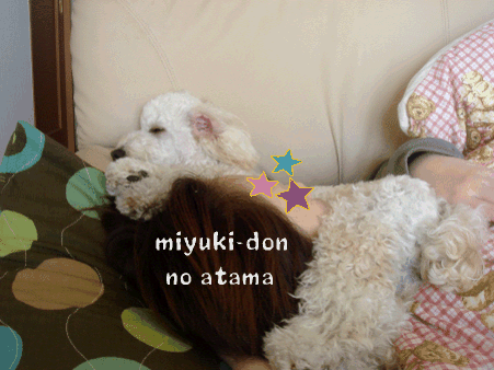 c0065885_1701298.gif