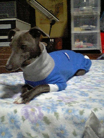c0003217_08144.jpg