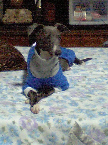 c0003217_08149.jpg