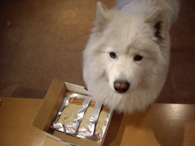 タダより高いものはない？_c0062832_16543948.jpg
