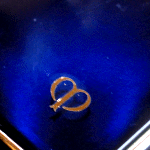 d0000247_1450669.gif