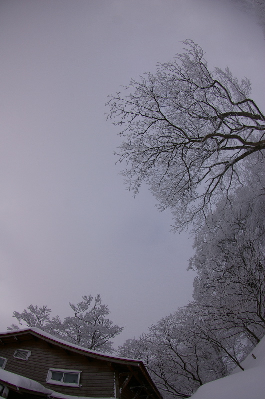 ２月５日　大山（鳥取）その２（６合目から大山寺まで）_a0009554_19512621.jpg