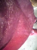 d0007957_22213858.jpg
