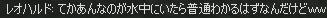 C4きましたー☆-(ノﾟДﾟ)八(ﾟДﾟ　)ノｲｴｰ_e0024171_11232588.jpg