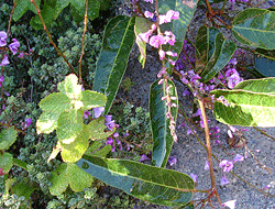 f0032481_2252767.gif