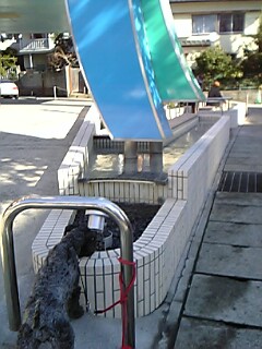 c0037701_213536.jpg