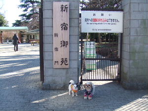 e0040602_2272796.jpg