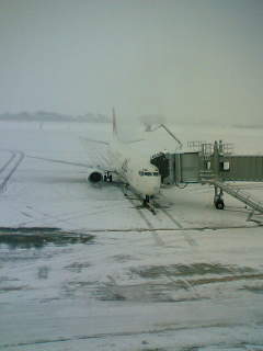 b0007213_92547.jpg