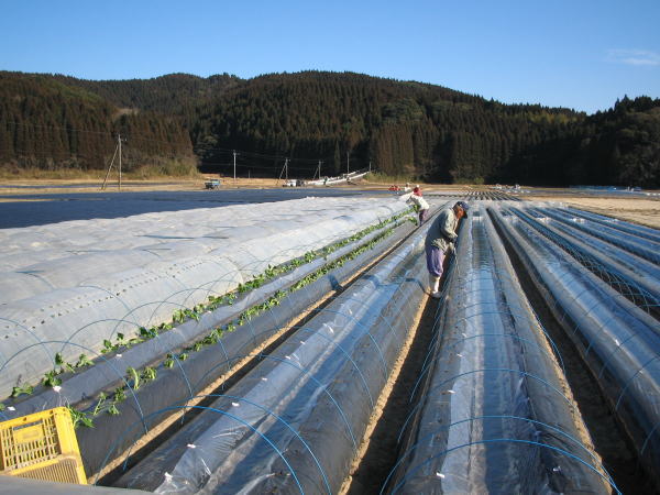 f0042737_16481450.jpg
