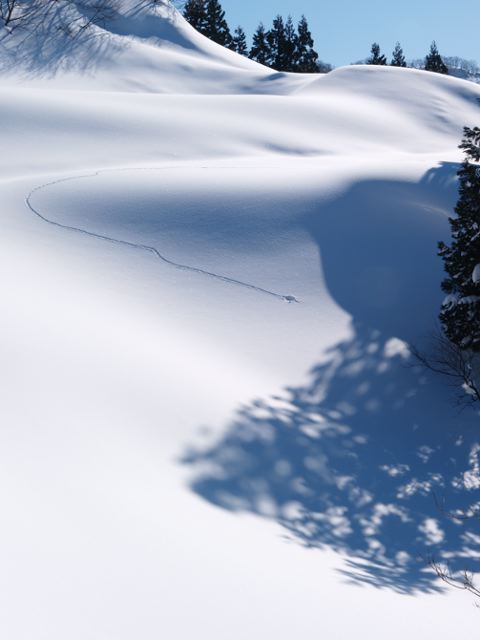 天水島の上を目指す_a0025576_22401011.jpg