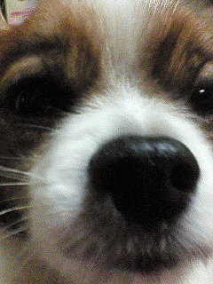 b0056099_20412860.gif