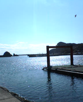b0009103_02572.jpg