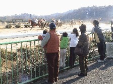 e0081903_19554729.jpg