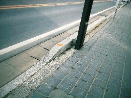 e0081903_201581.jpg