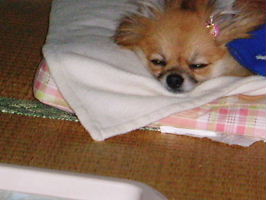 f0025622_15545524.jpg