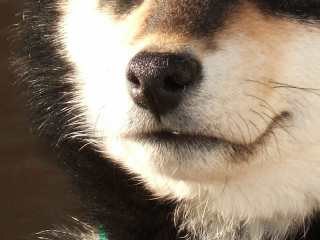 a0052750_1315832.jpg