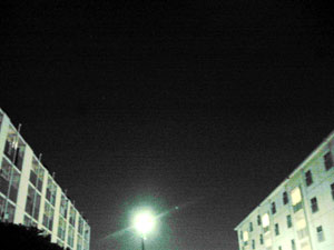 f0041351_656142.jpg