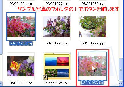 写真入りのメールを送ろう_d0020290_17332231.jpg