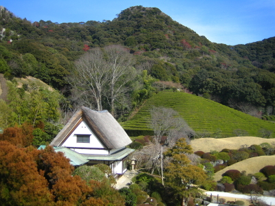 お知らせ_d0047811_23225168.jpg