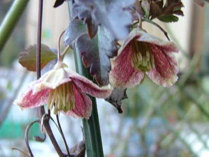 c0045227_022582.jpg