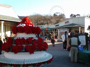 b0042334_20584486.jpg