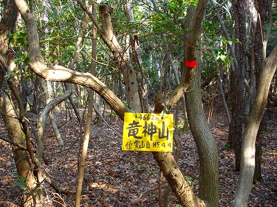 d0055236_2054115.jpg