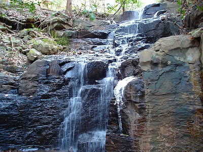 d0055236_21554697.jpg