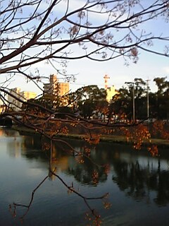 c0037701_19133112.jpg