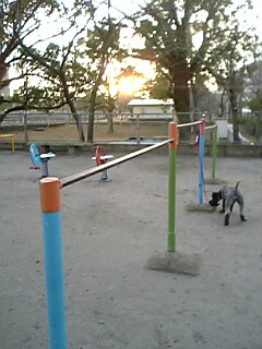 c0037701_1914591.jpg