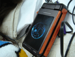 b0043506_224267.gif