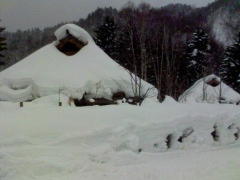 e0024206_20141333.jpg