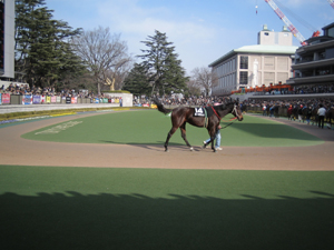 競馬はいかが？_b0061723_20154540.jpg