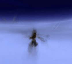 c0011127_1731262.gif