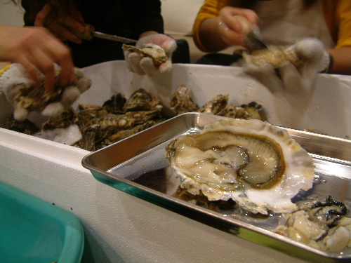 「海洋生物学実習Ⅲ マガキの解剖学(補講)で牡蠣三昧」_a0000029_211802.jpg