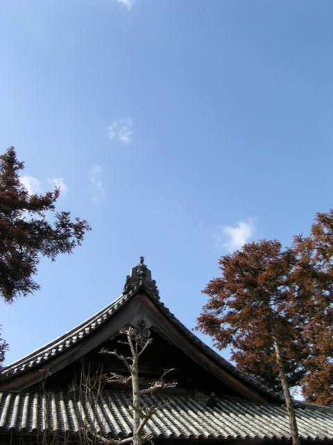 プチ・神紀行？其の四（備中国分寺・中編）_c0031760_0334424.jpg