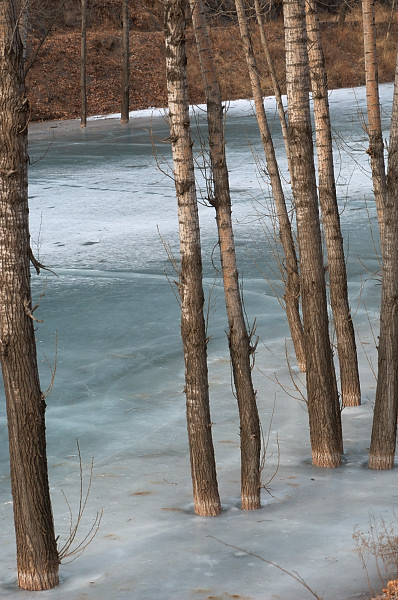 凍てつく川20060212_a0050572_1628626.jpg