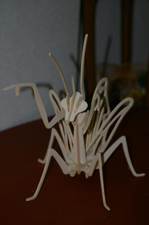 Mantis_e0019178_22443788.jpg