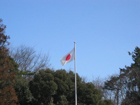あたたかい日差しです!_f0067122_1339646.jpg