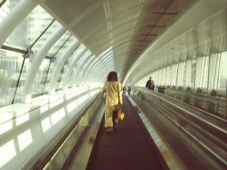 b0040332_21375752.jpg