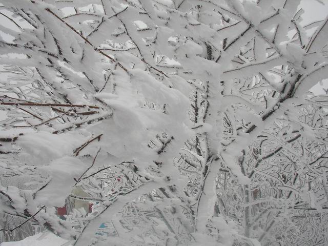c0029332_22151431.jpg