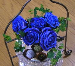 ヴァレンタイン_a0047200_19561838.jpg