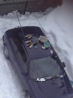 f0064614_97321.jpg