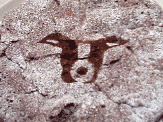e0080117_21404660.gif