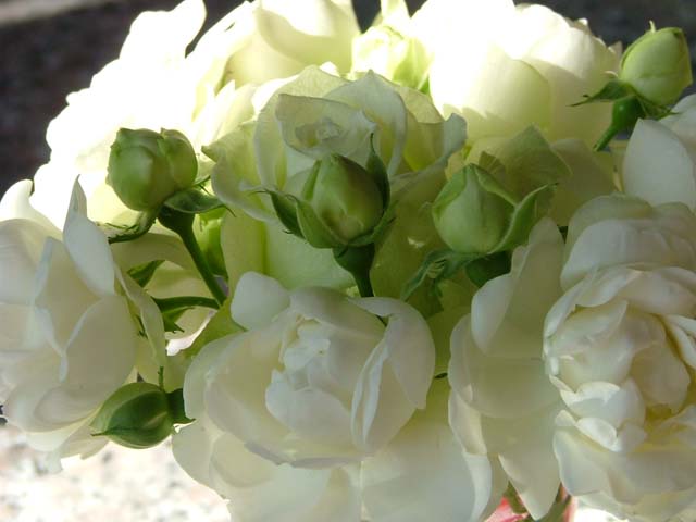 c0045227_2325305.jpg