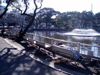 ＊みんな 生きてる＊　　2006,2,14_a0030038_21445147.jpg