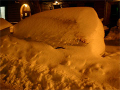 NYが観測史上最大の積雪_f0009746_3301766.jpg