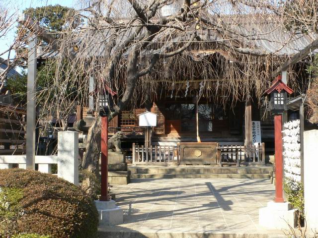 文京白山神社_e0086880_1435215.jpg